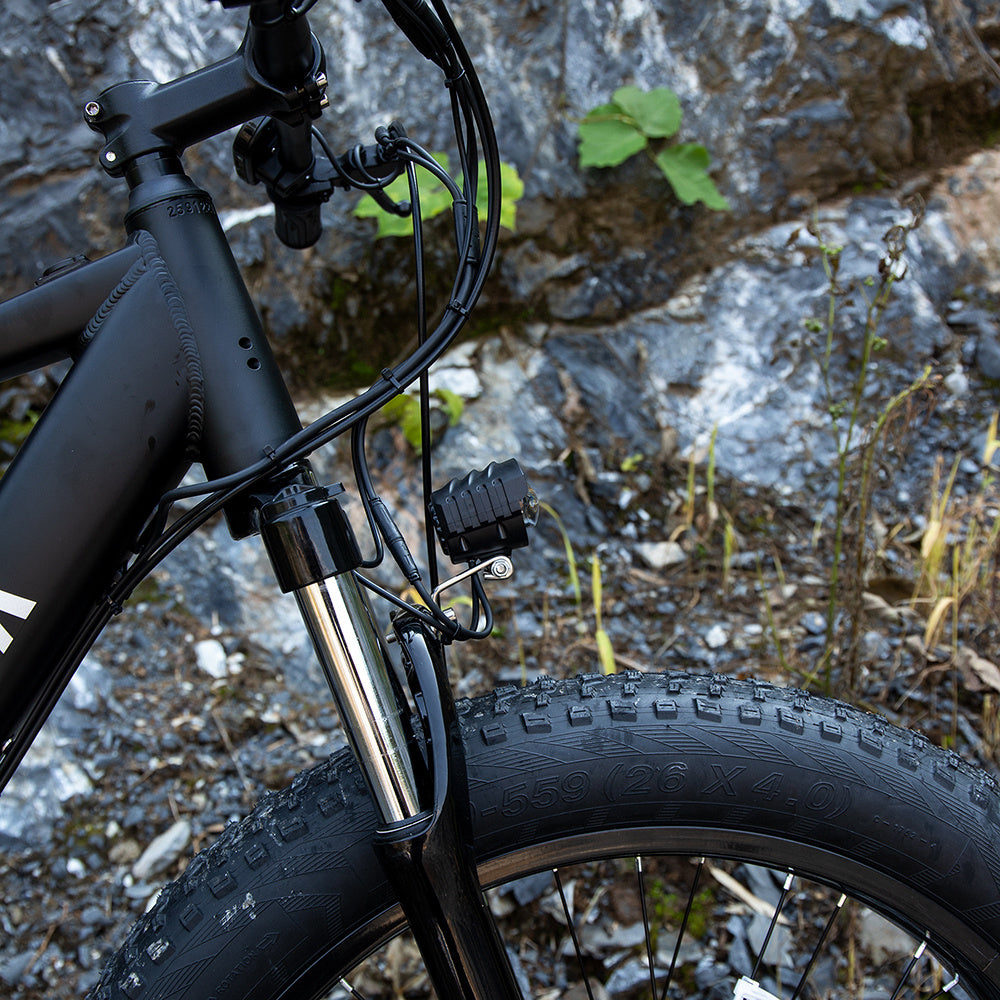 Vélo électrique Fat Bike 1000W – VTT tout-terrain pneus larges 26x4